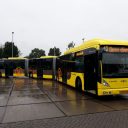 Bus, U-OV, Qbuzz, Utrecht