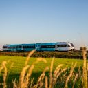 GTW-trein Arriva Groningen en Friesland (foto: Arriva)