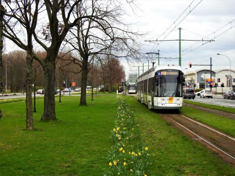 Tram De Lijn in Antwerpen (foto: De Lijn)