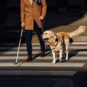 Blinde man met stok en geleidehond. FotoïStock / Light Field Studios