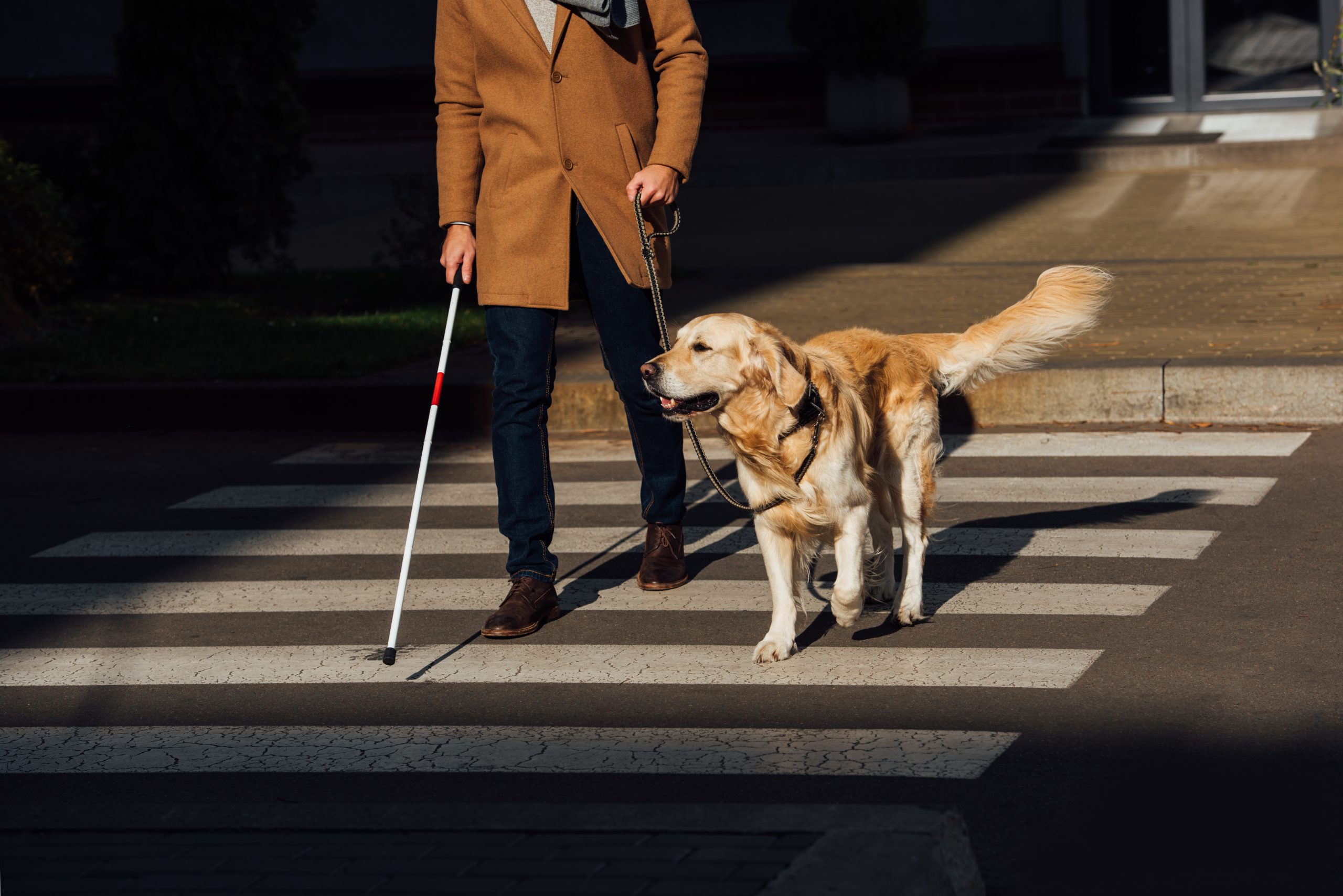 Blinde man met stok en geleidehond. FotoïStock / Light Field Studios