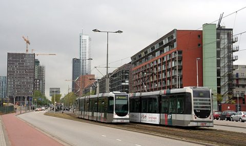 Roseknoop Rotterdam